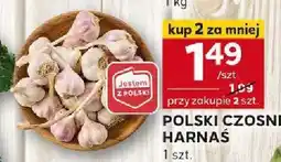 Stokrotka Polski czosnek Harnaś 1 szt. Stokrotka oferta