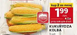 Stokrotka Kukurydza kolba Stokrotka oferta