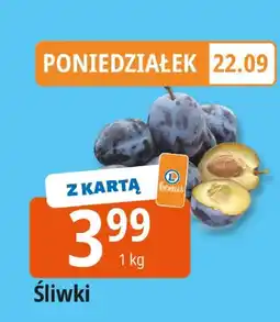 E.Leclerc Śliwki Leclerc oferta