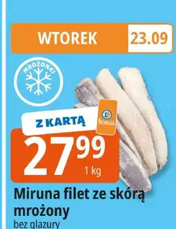 E.Leclerc Miruna filet ze skórą mrożony Leclerc oferta