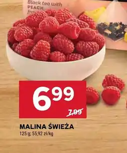 Stokrotka Malina świeża Stokrotka oferta