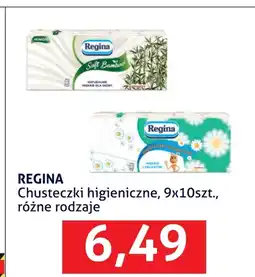 Blue Stop Chusteczki higieniczne Regina oferta