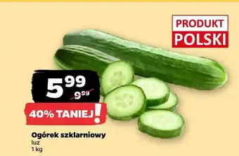 Netto Ogórek szklarniowy Netto oferta
