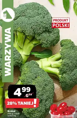 Netto Brokuł Netto oferta
