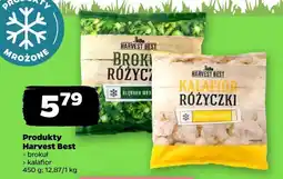 Netto Kalafior Harvest Best oferta