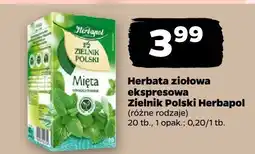 Netto Herbata ziołowa ekspresowa Zielnik Polski Herbapol różne rodzaje oferta