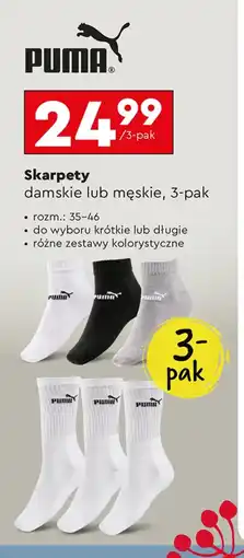 Biedronka Skarpety męskie Puma oferta