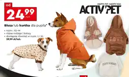 Biedronka Ubranko dla psa Activ Pet oferta