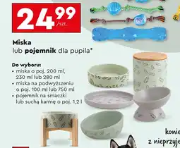 Biedronka Miska dla zwierząt Activ Pet oferta