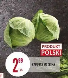 E.Leclerc Kapusta wczesna oferta