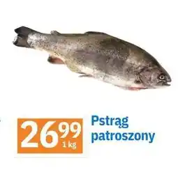 E.Leclerc Pstrąg patroszony oferta