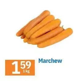 E.Leclerc Marchew oferta