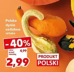 Kaufland Dynia ozdobna 1 szt. Kaufland oferta