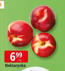 E.Leclerc Nektarynki oferta