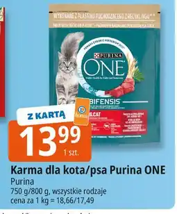 E.Leclerc Karma dla kota sterilcat Purina One oferta
