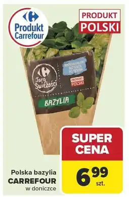Carrefour Bazylia Carrefour oferta