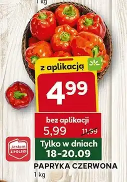 Stokrotka Optima Papryka oferta