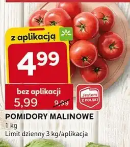 Stokrotka Optima Pomidory oferta