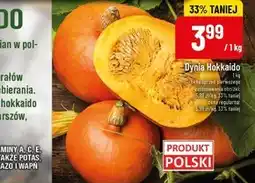 Polomarket Dynia Polski oferta