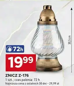 Stokrotka Optima Znicz oferta
