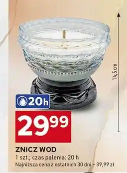 Stokrotka Optima Znicz oferta
