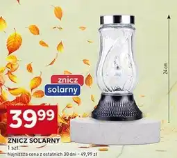 Stokrotka Optima Znicz oferta