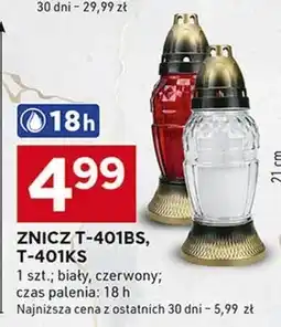 Stokrotka Optima Znicz oferta