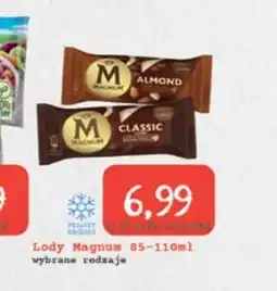 Społem Lody Magnum oferta