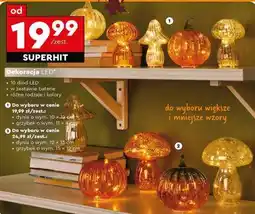 Biedronka Dekoracja LED oferta