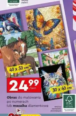 Biedronka Obraz do malowania po numerach lub mozaika diamentowa oferta