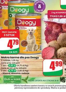 Dino Mokra karma dla psa Doogy oferta