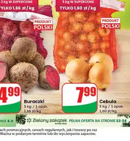 Dino Buraczki oferta