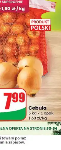 Dino Cebula oferta