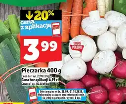 Topaz Rzodkiewka TOPAZ oferta