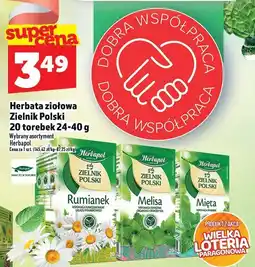 Topaz Herbata ziołowa Zielnik Polski Rumianek/Melisa/Mięta 20 torebek Herbapol oferta