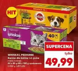 Kaufland Karma dla psa adult wołowina Pedigree oferta