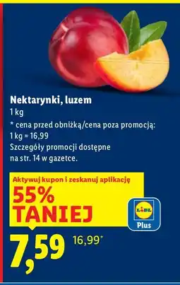 Lidl Nektarynki Lidl oferta