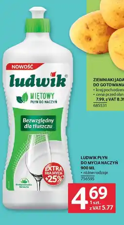 Selgros Ludwik płyn do mycia naczyń oferta