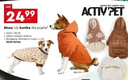 Biedronka Bluza lub kurtka dla pupila oferta