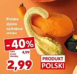 Kaufland Polska dynia ozdobna sztuka oferta