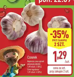 ALDI Czosnek oferta