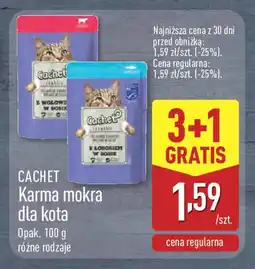 ALDI Cachet karma mokra dla kota oferta