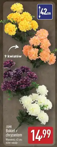 ALDI Jumi bukiet chryzantem oferta