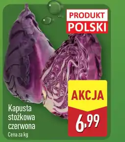 ALDI Kapusta stożkowa czerwona oferta