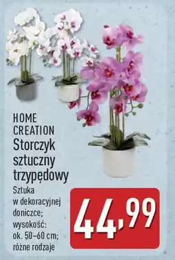 ALDI Home creation storczyk sztuczny trzypędowy oferta