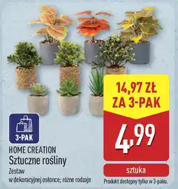 ALDI Home creation sztuczne rośliny oferta