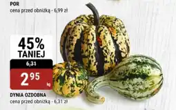 bi1 Dynia ozdobna oferta