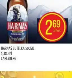 Pokusa Harnaś oferta