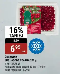 bi1 Żurawina lub jagoda czarna oferta