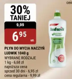 bi1 Płyn do mycia naczyń ludwik oferta